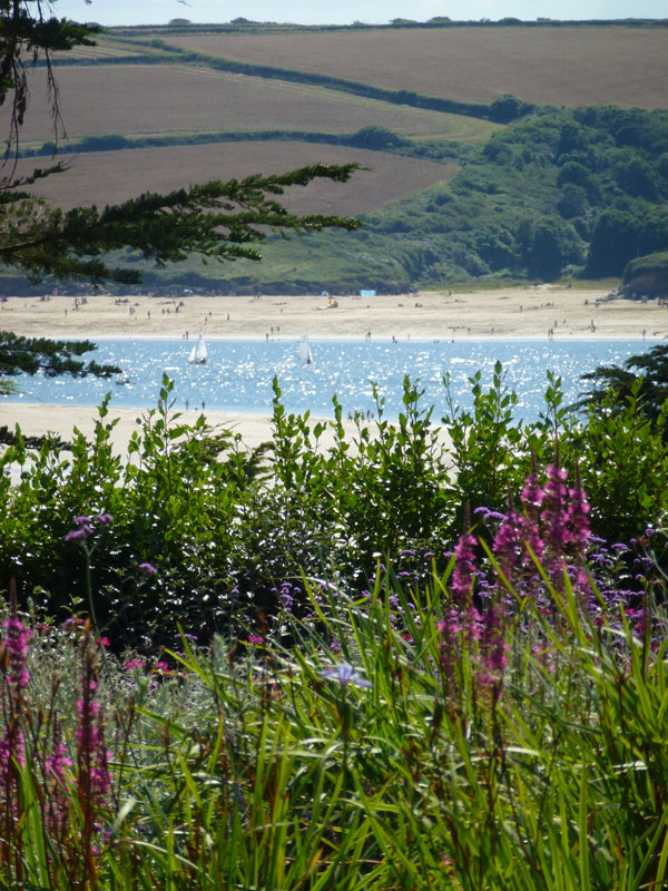 Private Garden, Cornwall, image 13