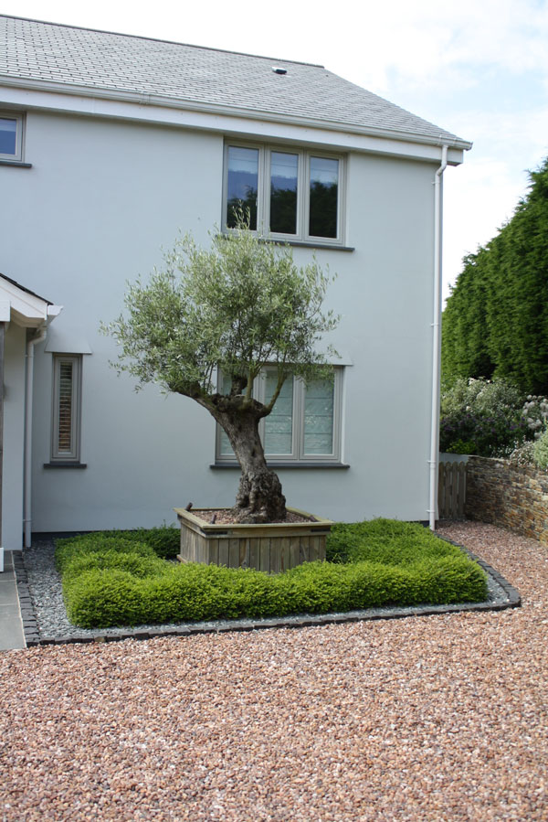 Private Garden, Cornwall, image 8